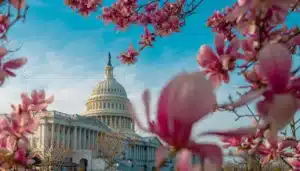 Hidden Gems in Washington DC: A Local’s Secret Guide [2025]