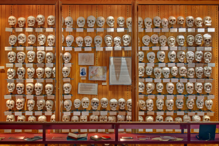 The Mütter Museum of The College of Physicians of Philadelphia.
