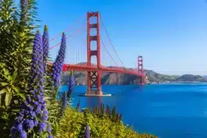 Hidden Places to See in San Francisco: A Local’s Guide