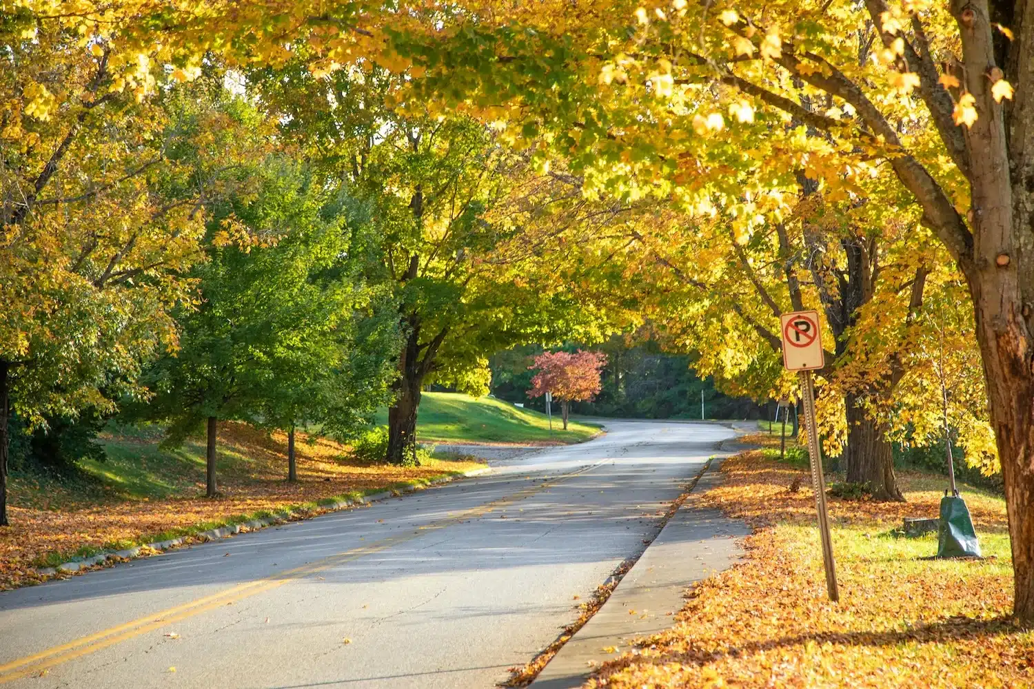 Centerville Charter Bus & Minibus Rentals
