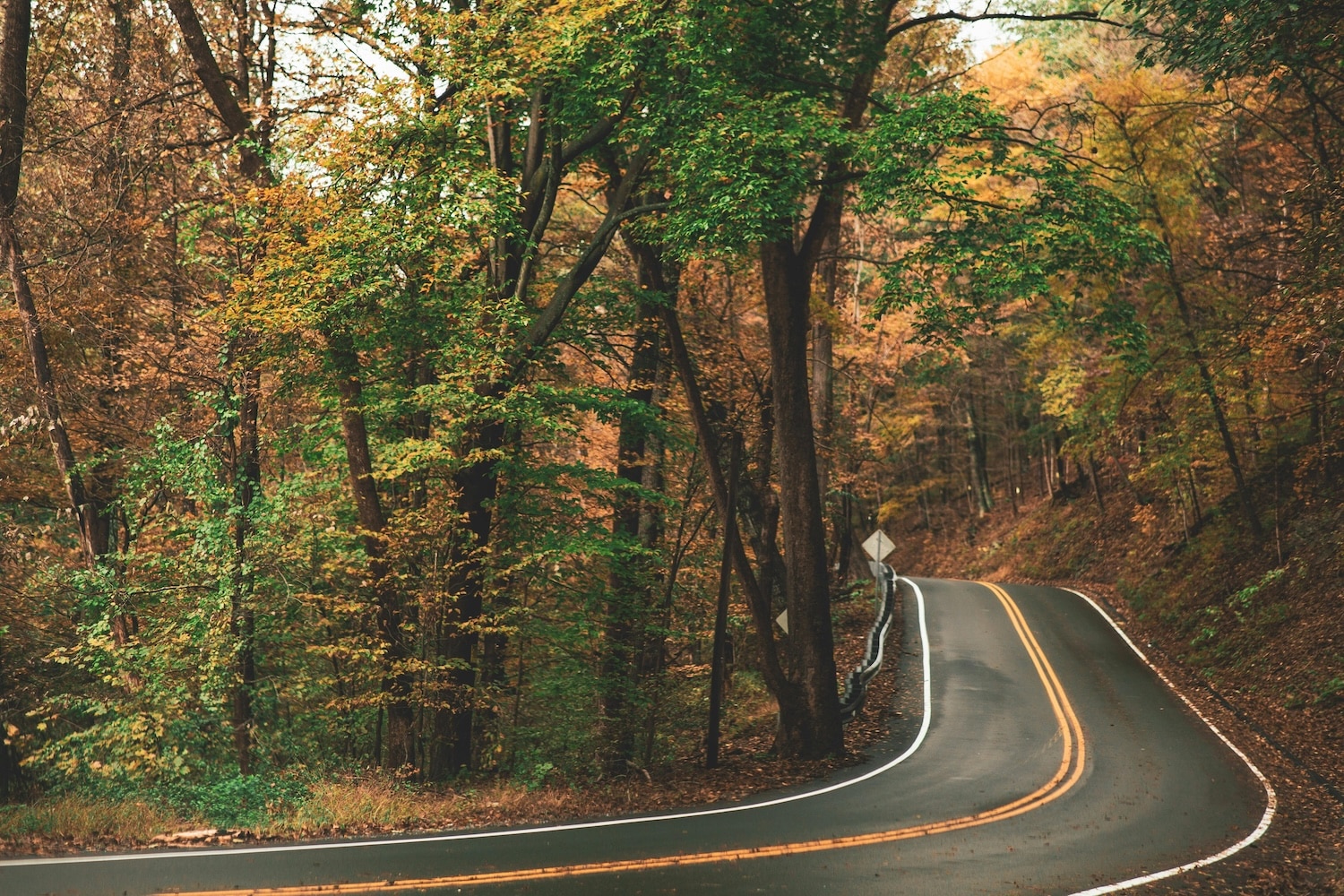 Chester Charter Bus & Minibus Rentals