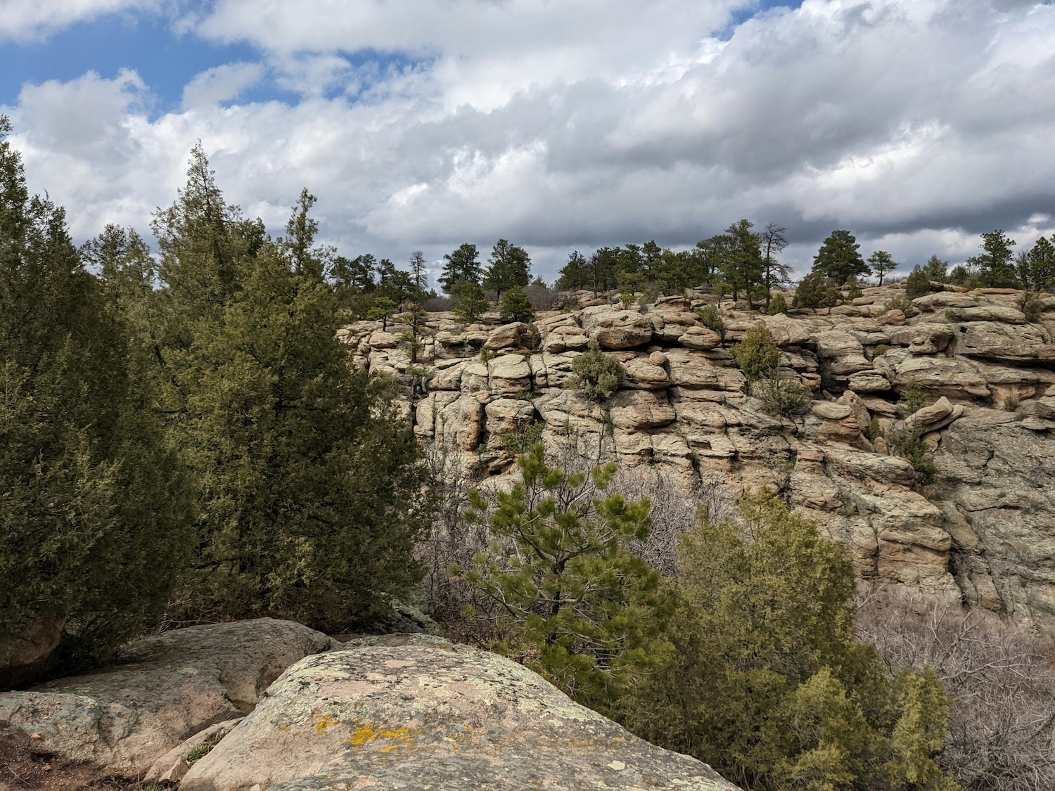 Castle Rock Charter Bus & Minibus Rentals