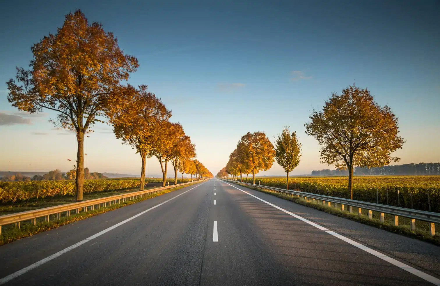 Clinton Charter Township Charter Bus and Minibus Rentals