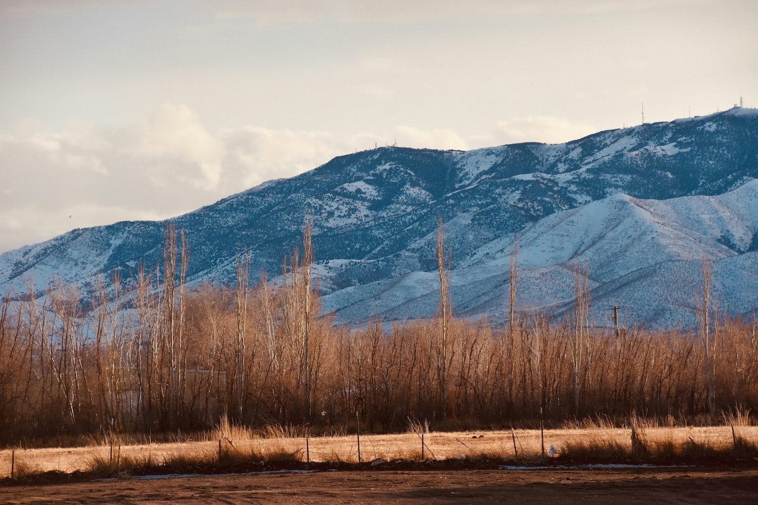 ​Lehi Charter Bus & Minibus Rentals