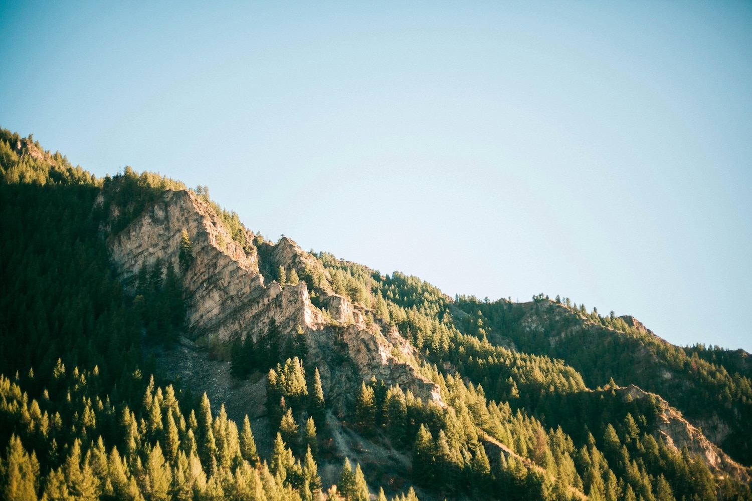 Orem Charter Bus & Minibus Rentals