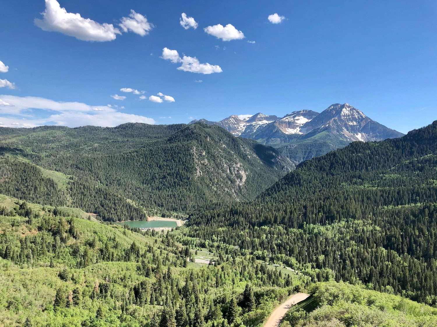 Provo Charter Bus & Minibus Rentals