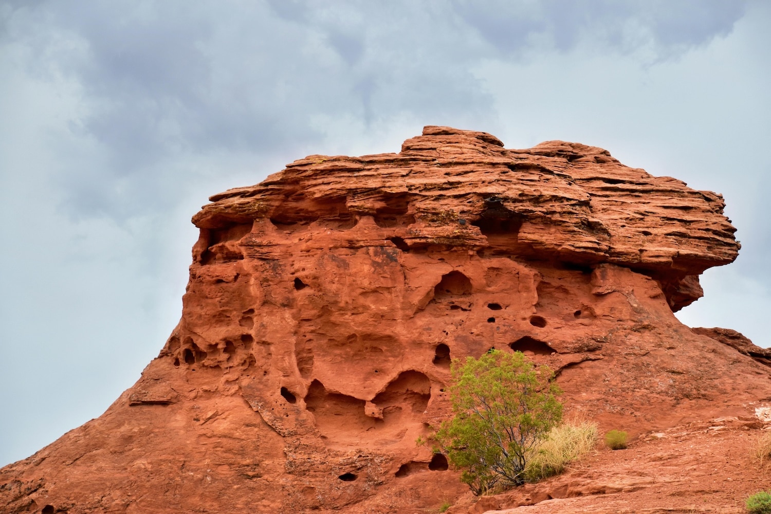 St. George Charter Bus & Minibus Rentals