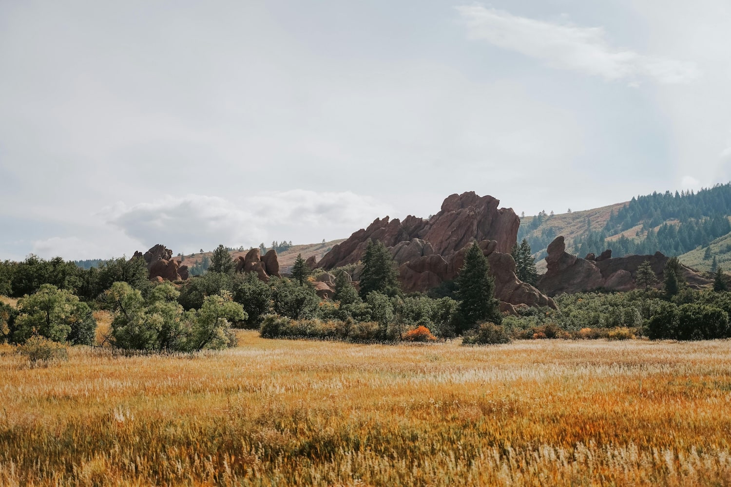 ​Lone Tree Charter Bus & Minibus Rentals