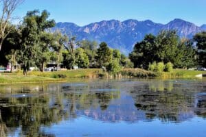 Salt Lake City Hotel Guide: From Luxury to Budget-Friendly Options