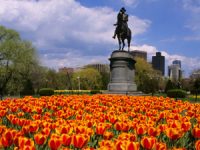 Boston Commons Boston Commons