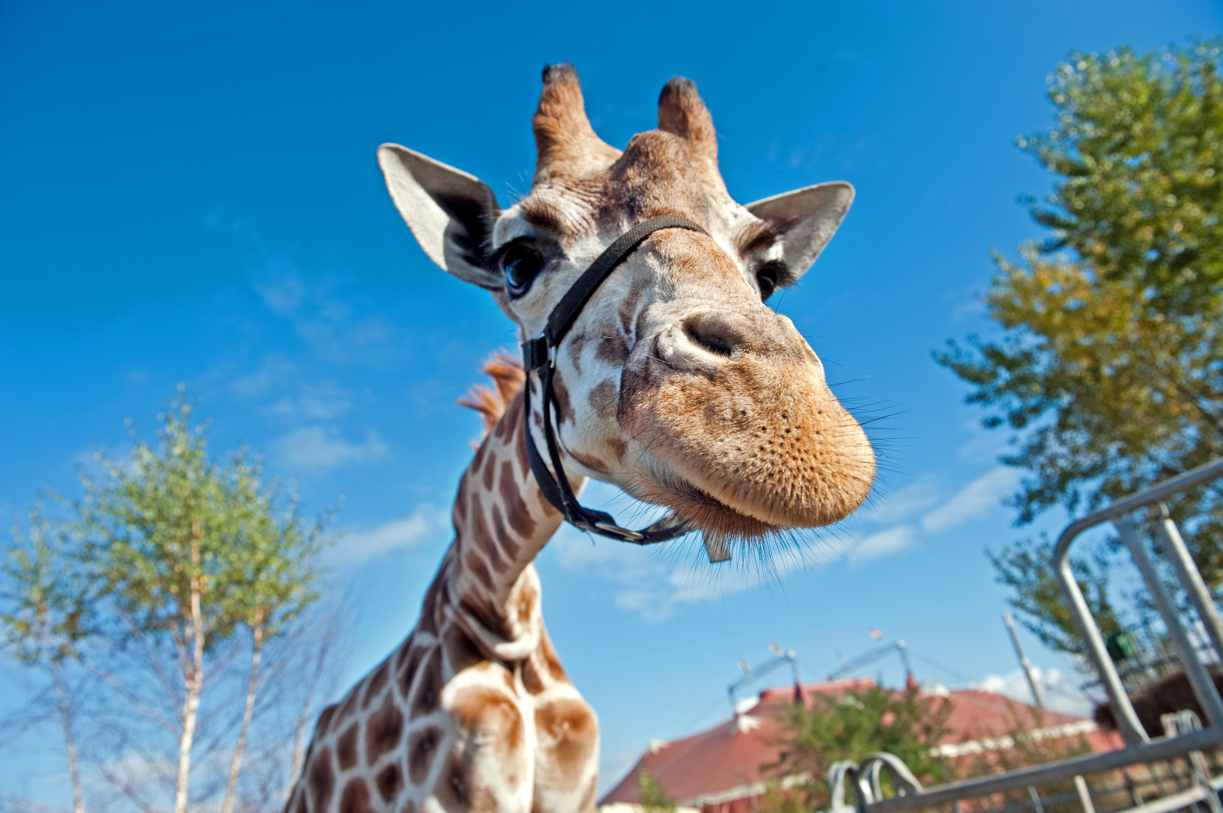 Dallas Zoo