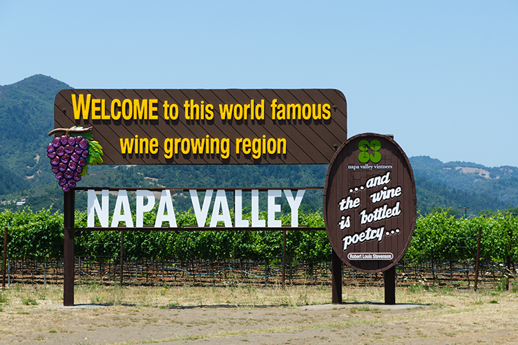 How to organize a wine-tasting trip to Napa Valley