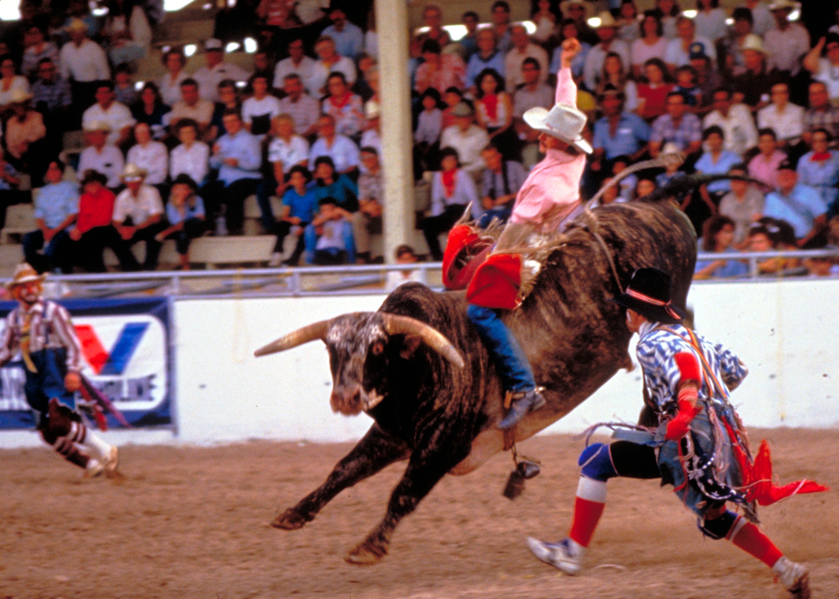 San Antonio Stock Show and Rodeo