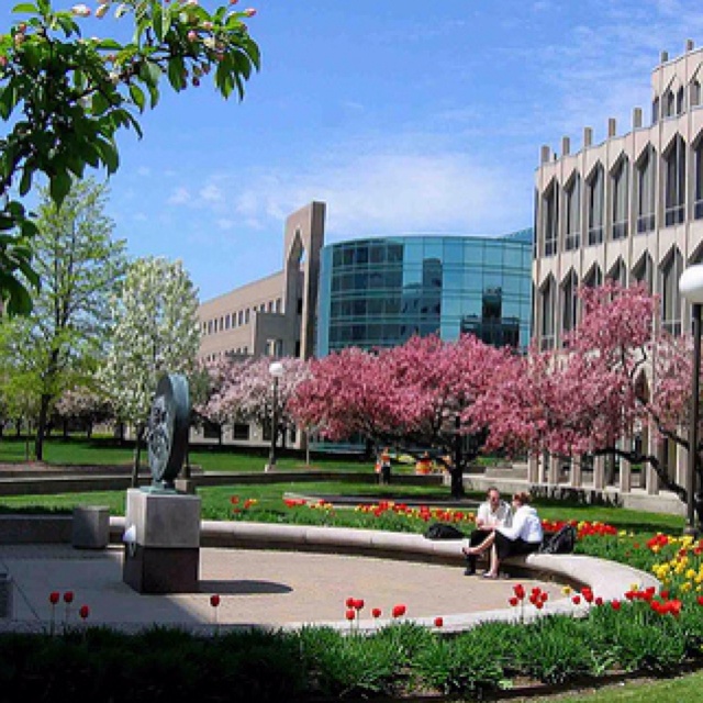 University of Detroit Mercy