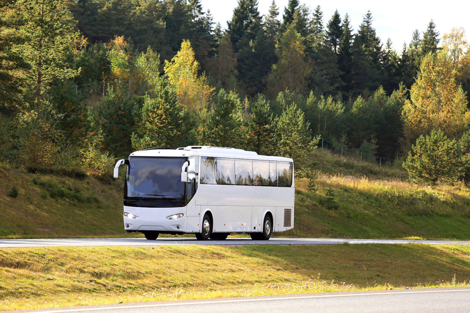 What You Need to Know to Charter a Bus for the First Time